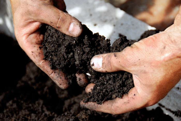 hands in soil