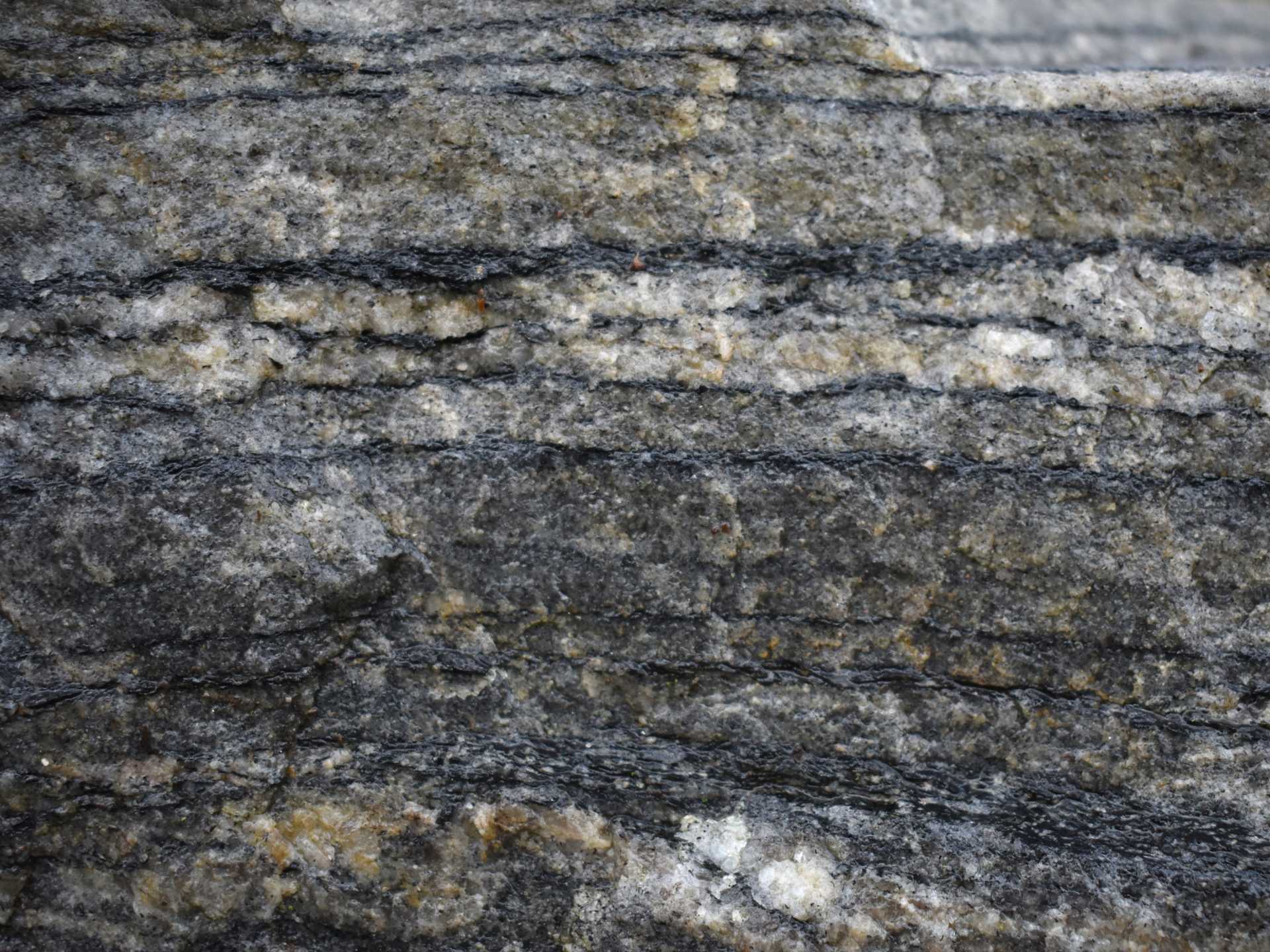 Bergart: båndgneis