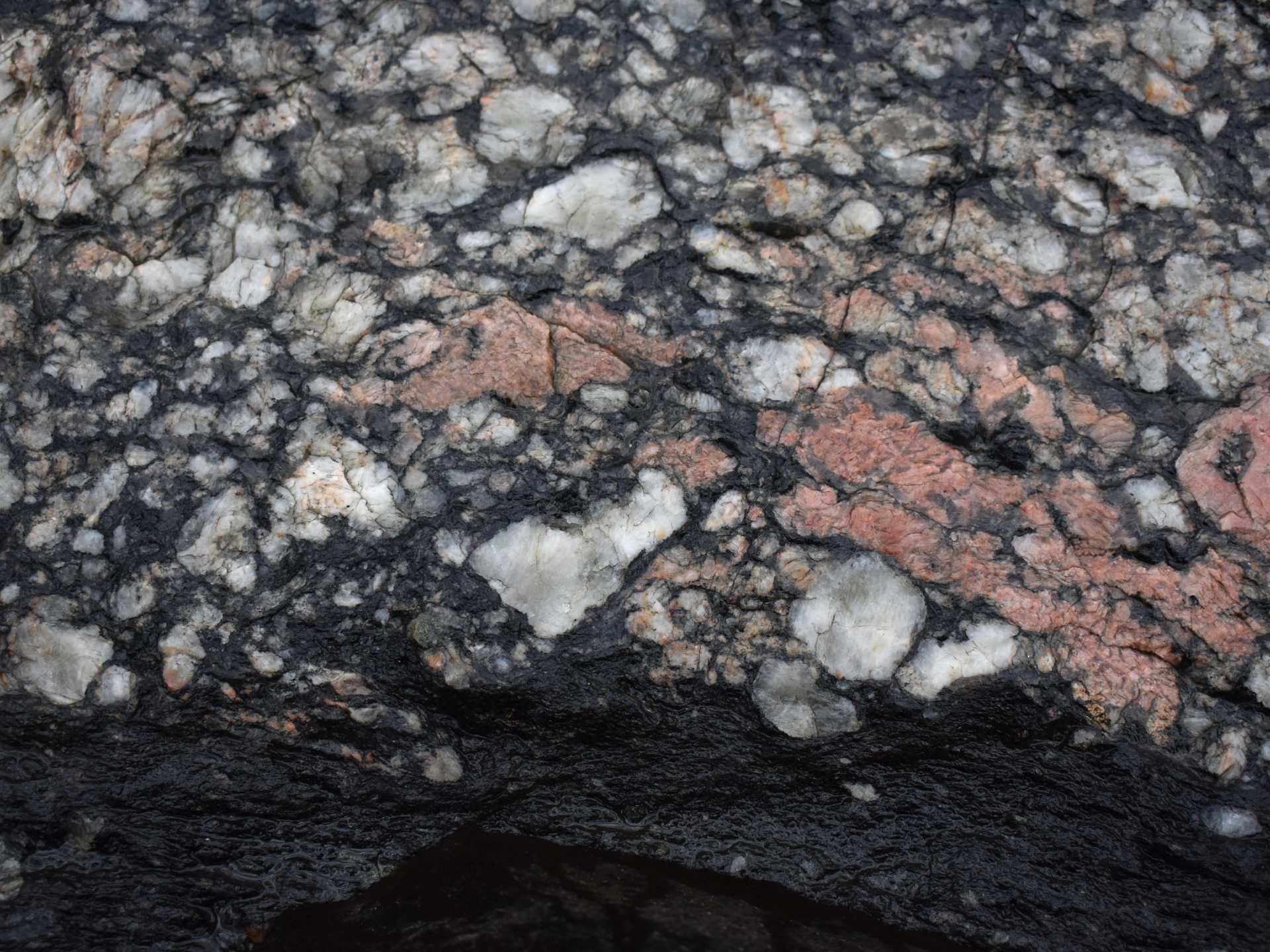 Bergart: øyegneis
