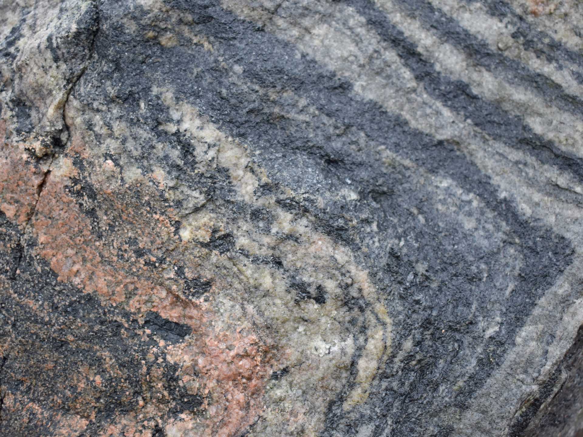 Bergart: folded båndgneis