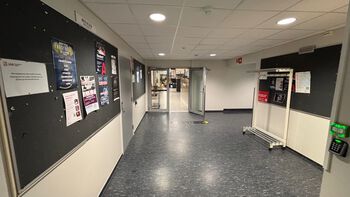 Bilde av oppslagstavler utenfor studentkantine, campus Kristiansand
