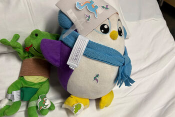Image may contain: Stuffed toy, Textile, Toy, Plush, Baby toys.