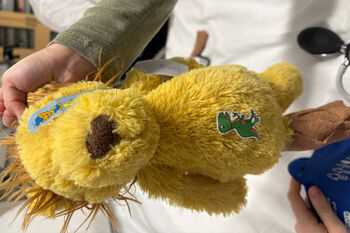 Image may contain: Stuffed toy, Yellow, Toy, Textile, Baby toys.