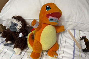 Image may contain: Stuffed toy, Toy, Textile, Plush, Baby toys.