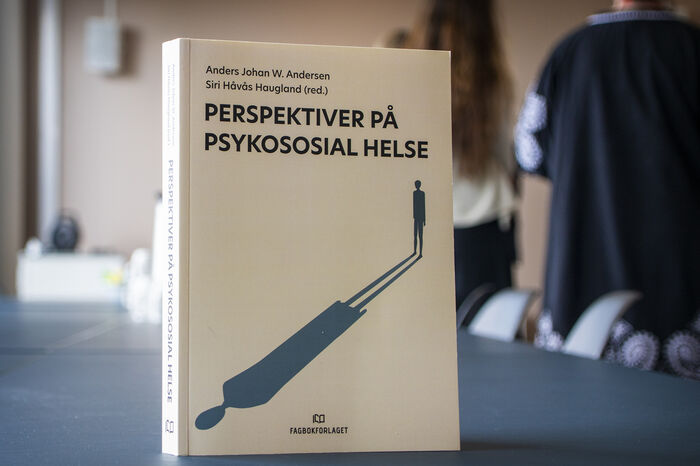Bildet viser omslaget av boka.