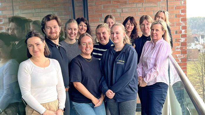 Sykepleierstudenter og ansatte fra Danmark, Sverige og Norge