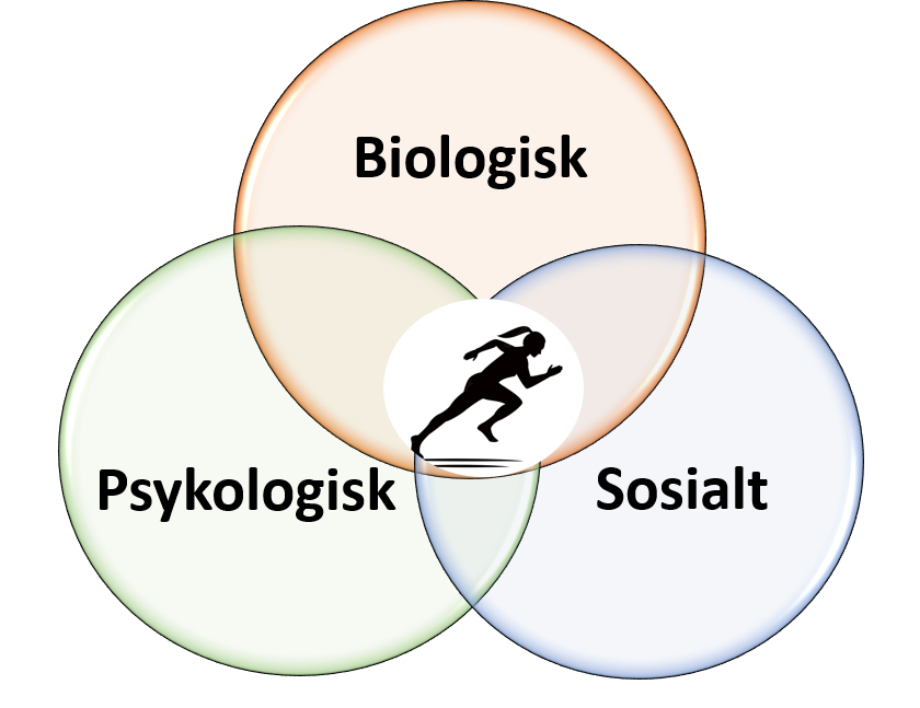 Illustrasjon av den biopsykososiale modellen som ligger til grunn for FIDES forskning