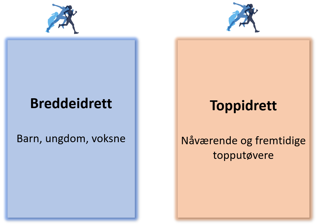 Illustrasjon av Forskningssøylene til FIDES