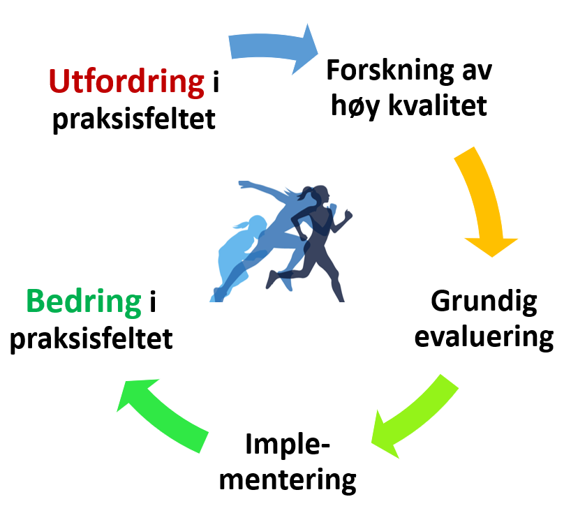 Illustrasjon av Forskningsmodellen til FIDES prosjektene