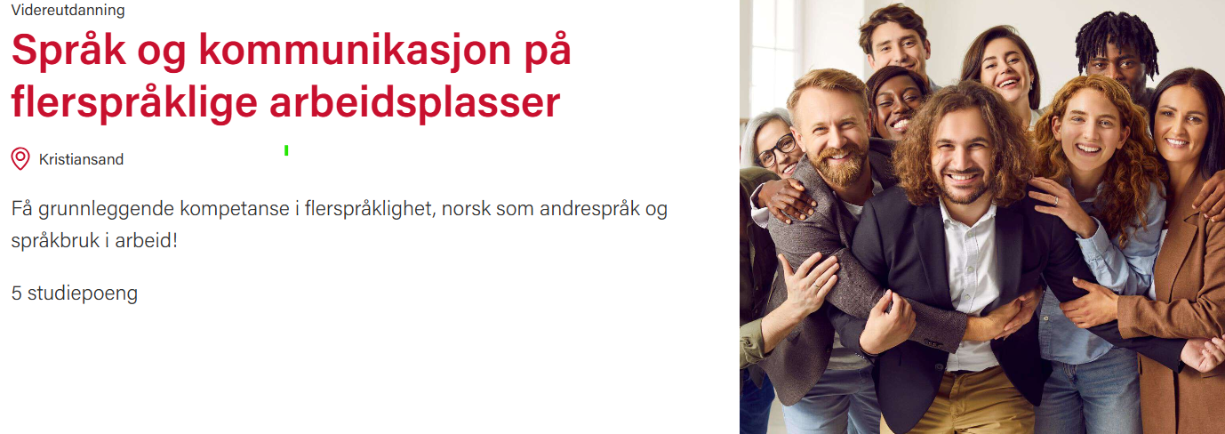 Skjermbilde fra studietilbudsiden