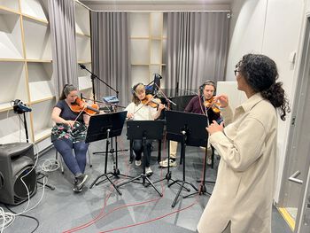 musikkstativ ,musikkinstrument ,musiker ,strengeinstrument ,fiolinfamilie.