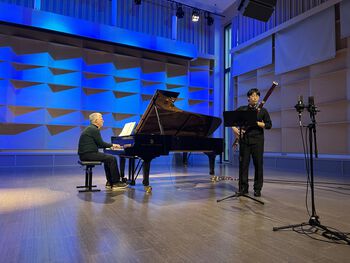 musikkinstrument ,piano ,tastatur ,musiker ,blå.