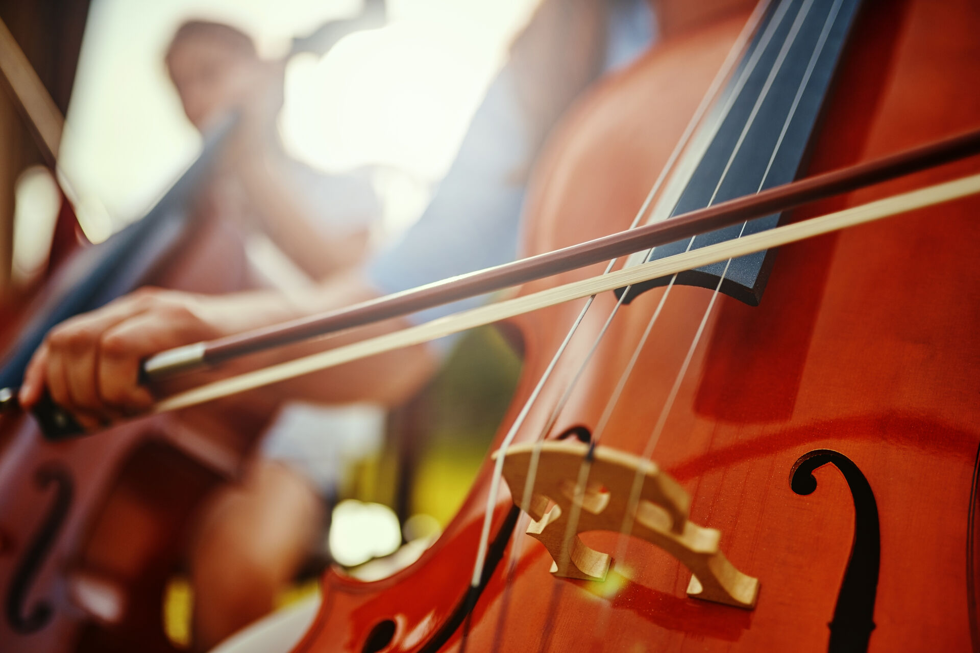 Bildet kan inneholde: musikkinstrument, fiolinfamilie, strengeinstrument, strengeinstrument, fele.