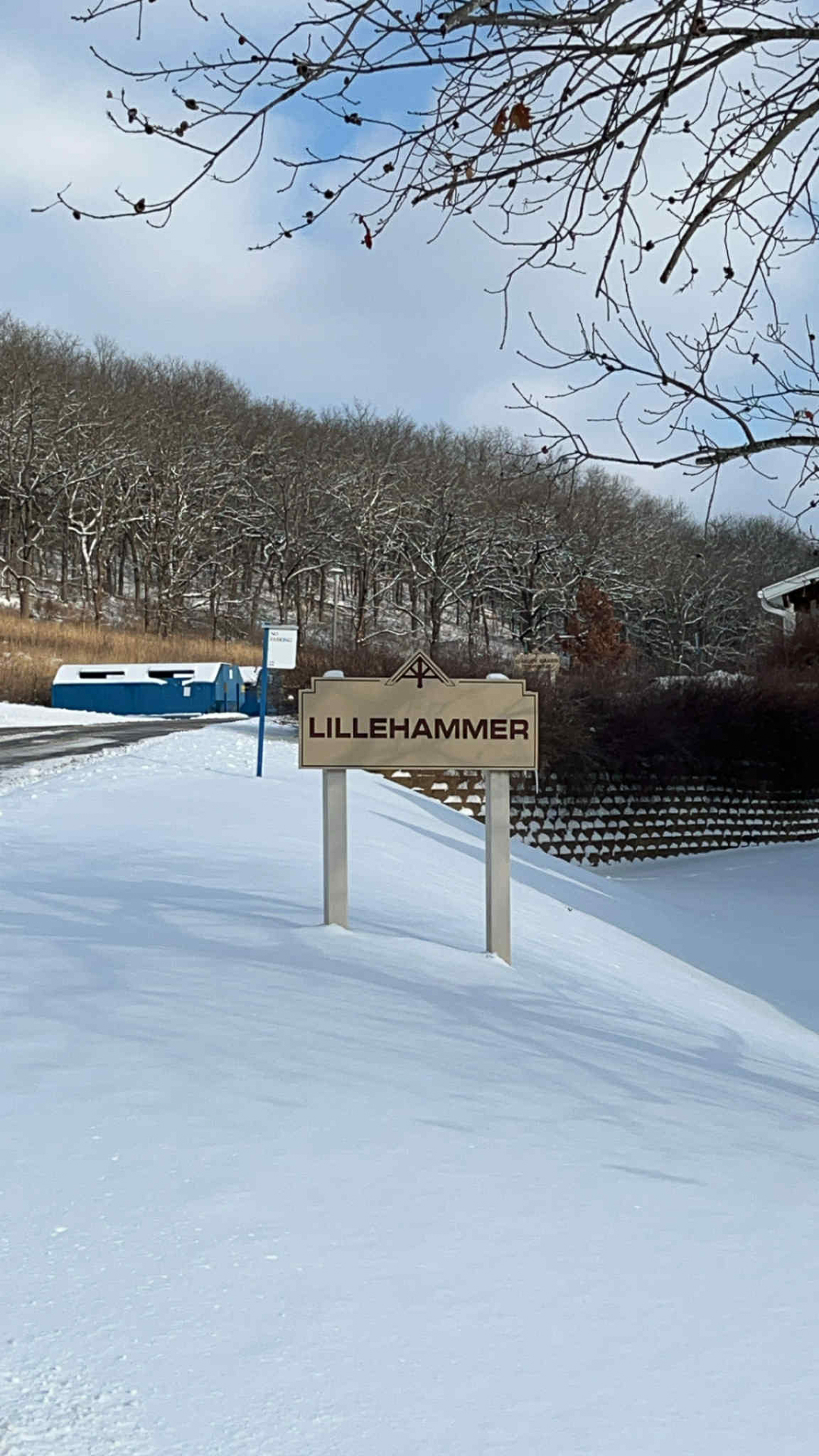 Bildet kan inneholde: snø, vinter, dagtid, gren, tre.