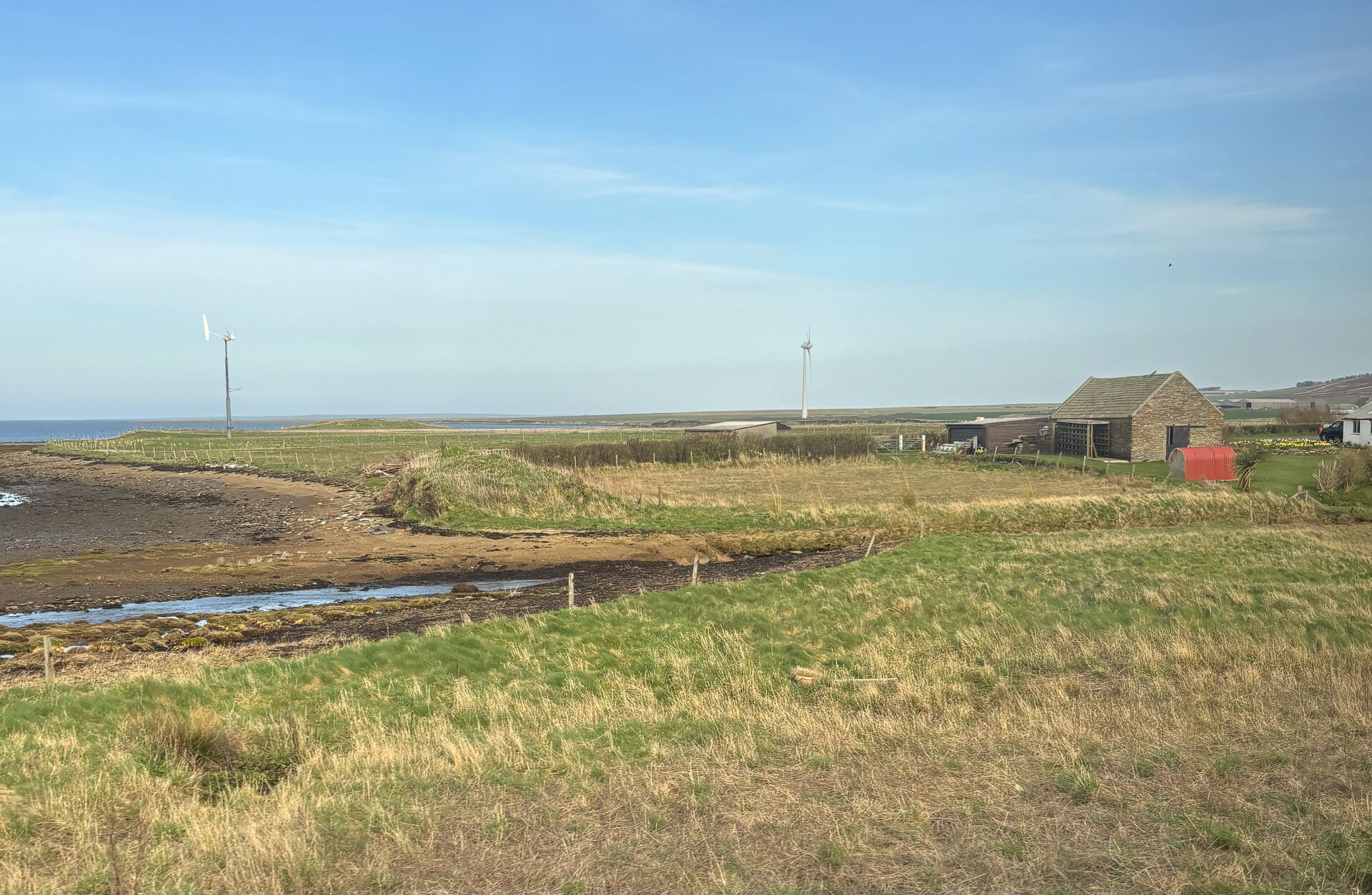 Bildet kan inneholde: gress, grønn, gressmark, vanlig, økoregion.