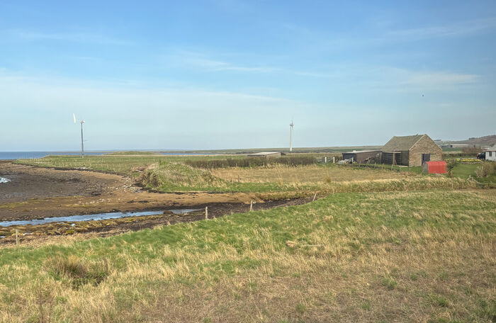 Bildet kan inneholde: gress, grønn, gressmark, vanlig, økoregion.