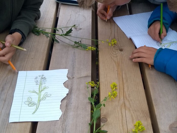 Flowers, drawings and childrens hands on a table outdoors