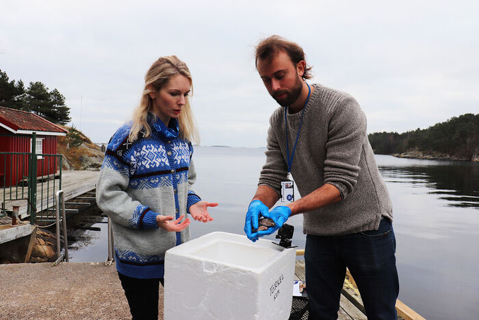 The image shows Tonje Knutsen Sørdalen and Kim Tallaksen Halvorsen.