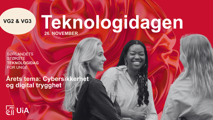 Bildet kan inneholde: bildekk, dekk, gul, kjøretøy, motorkjøretøy.