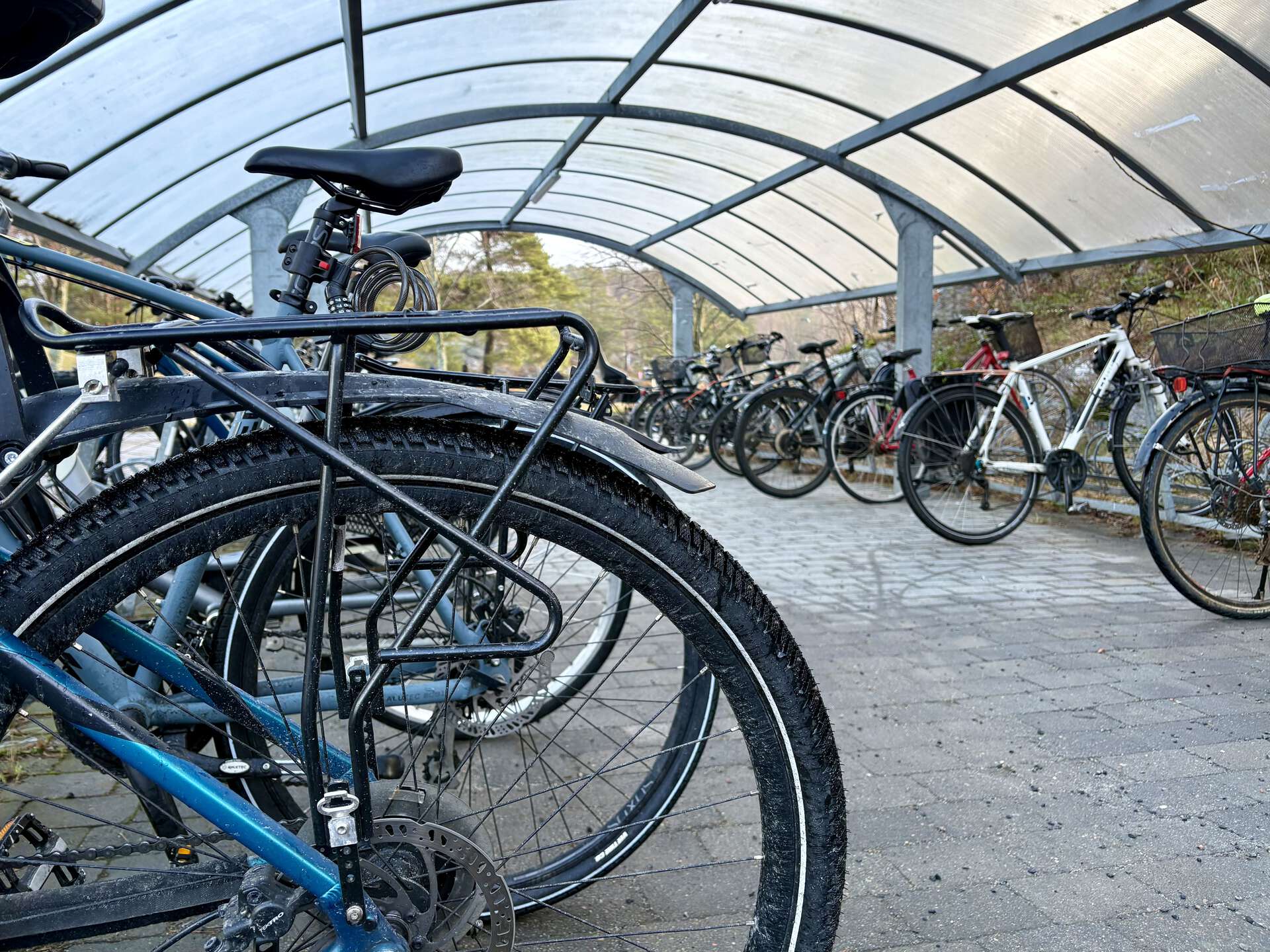 Bicycles on campus