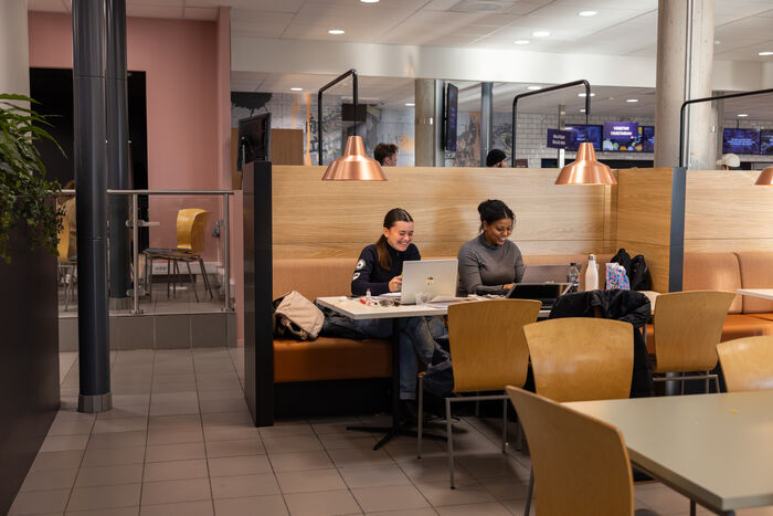 Two students studying in a cafeteria