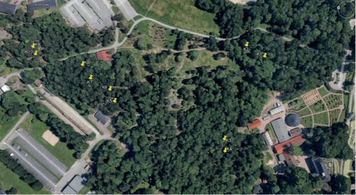 Kart over campus som viser hvor flaggermuskassene er