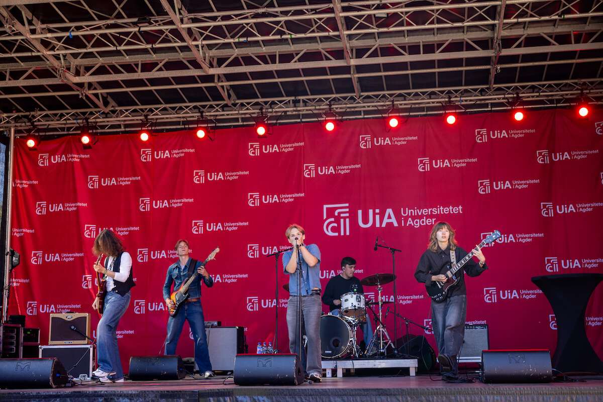 Image may contain: Chordophone, Stage, Plucked string instrument, Guitarist, String instrument.