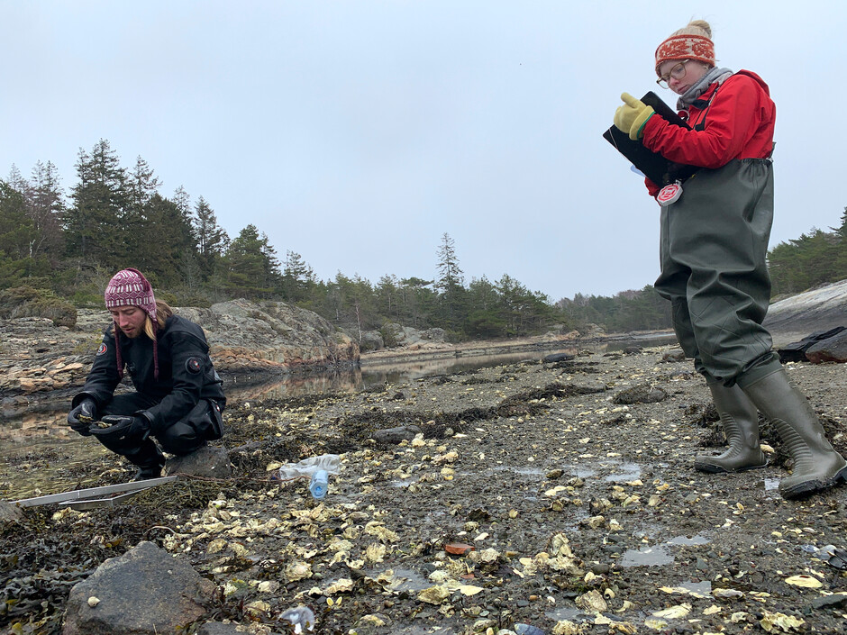 Researchers at field work by the sea