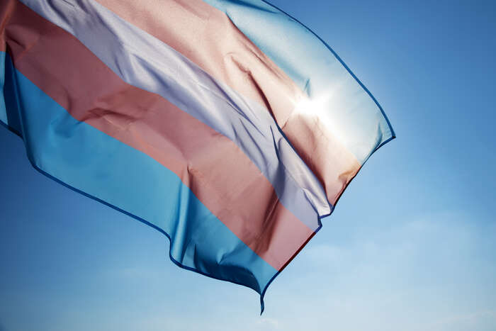 Illustrasjon av transflagget, som har blå og rosa farger