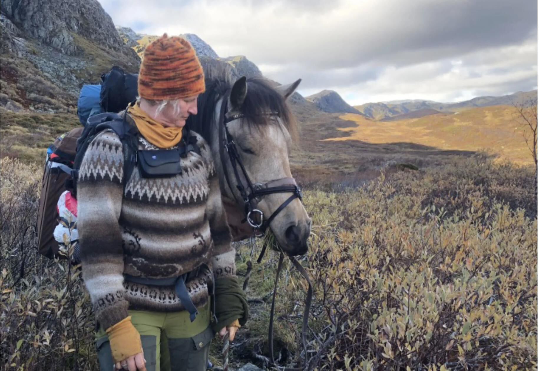 Samisk kvinne med hest i fjellandskap