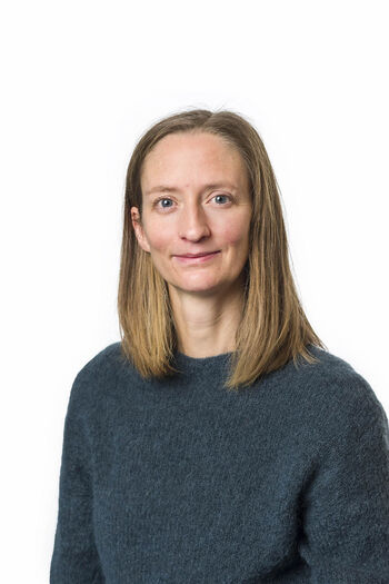 person ,panne ,ansikt ,hår ,kinn.