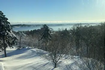 himmel ,blå ,snø ,tre ,gren.