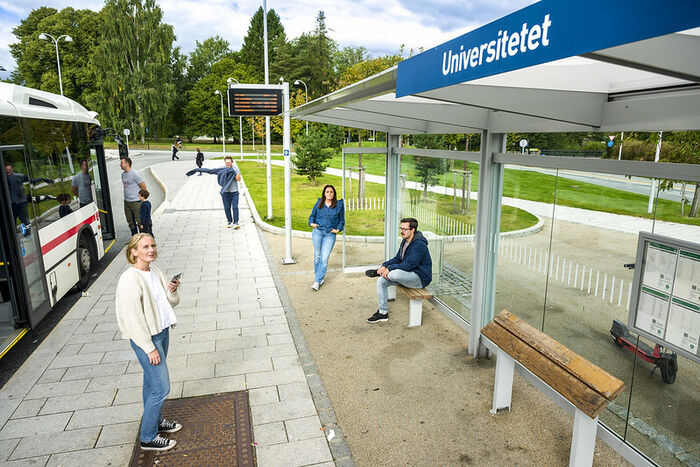 akt-illustrasjon-buss-campus