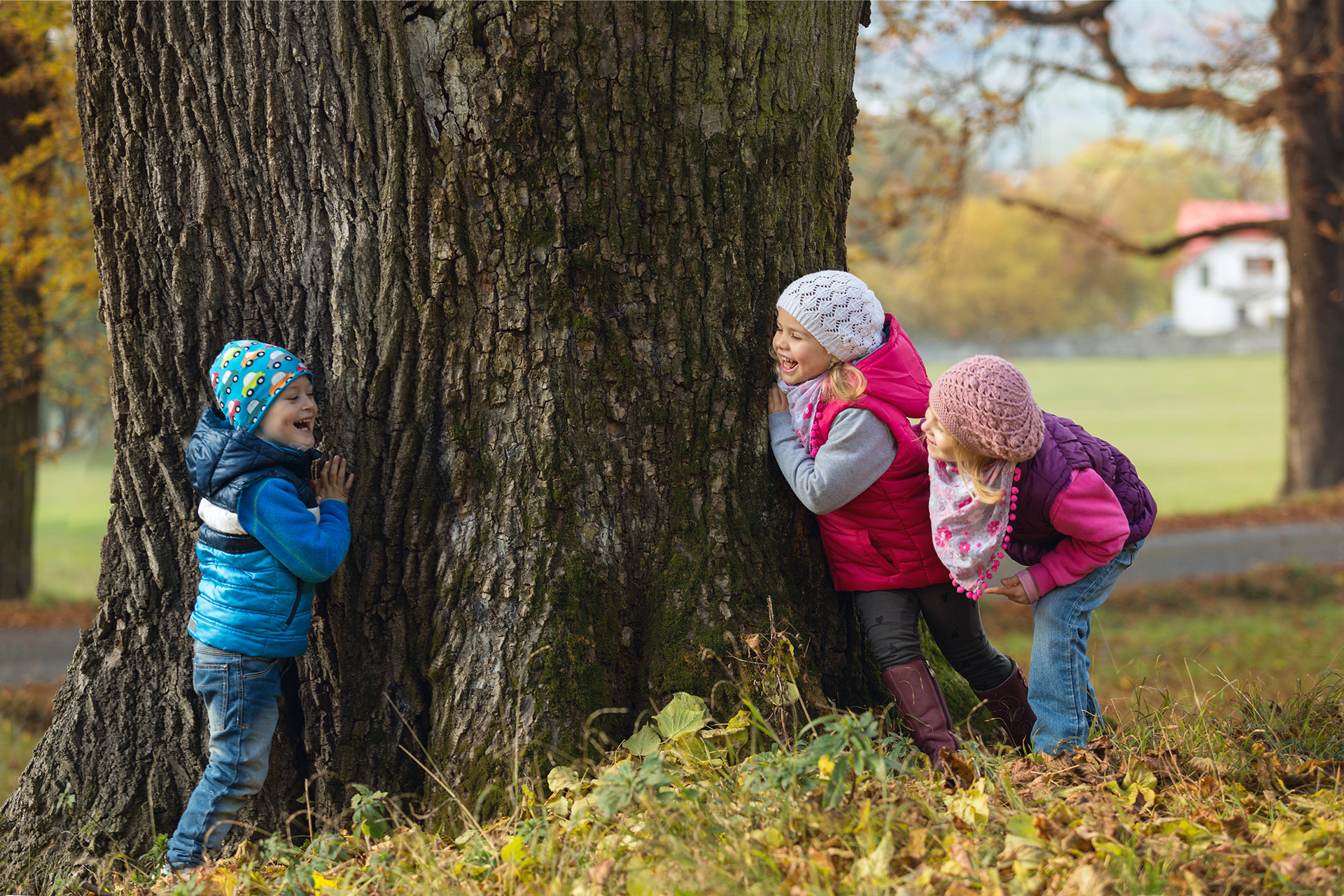 Tre barn leker gjemsel rundt et tre
