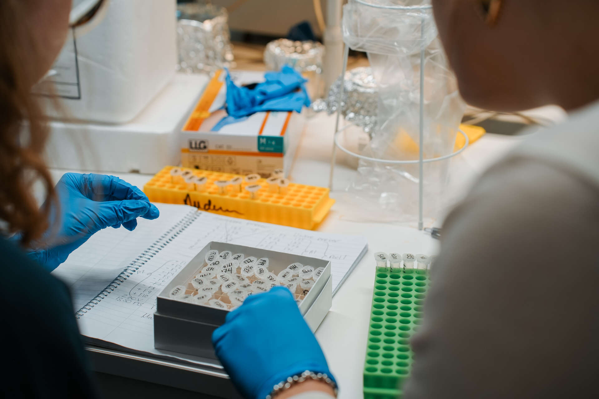 kvinnelige studenter på lab