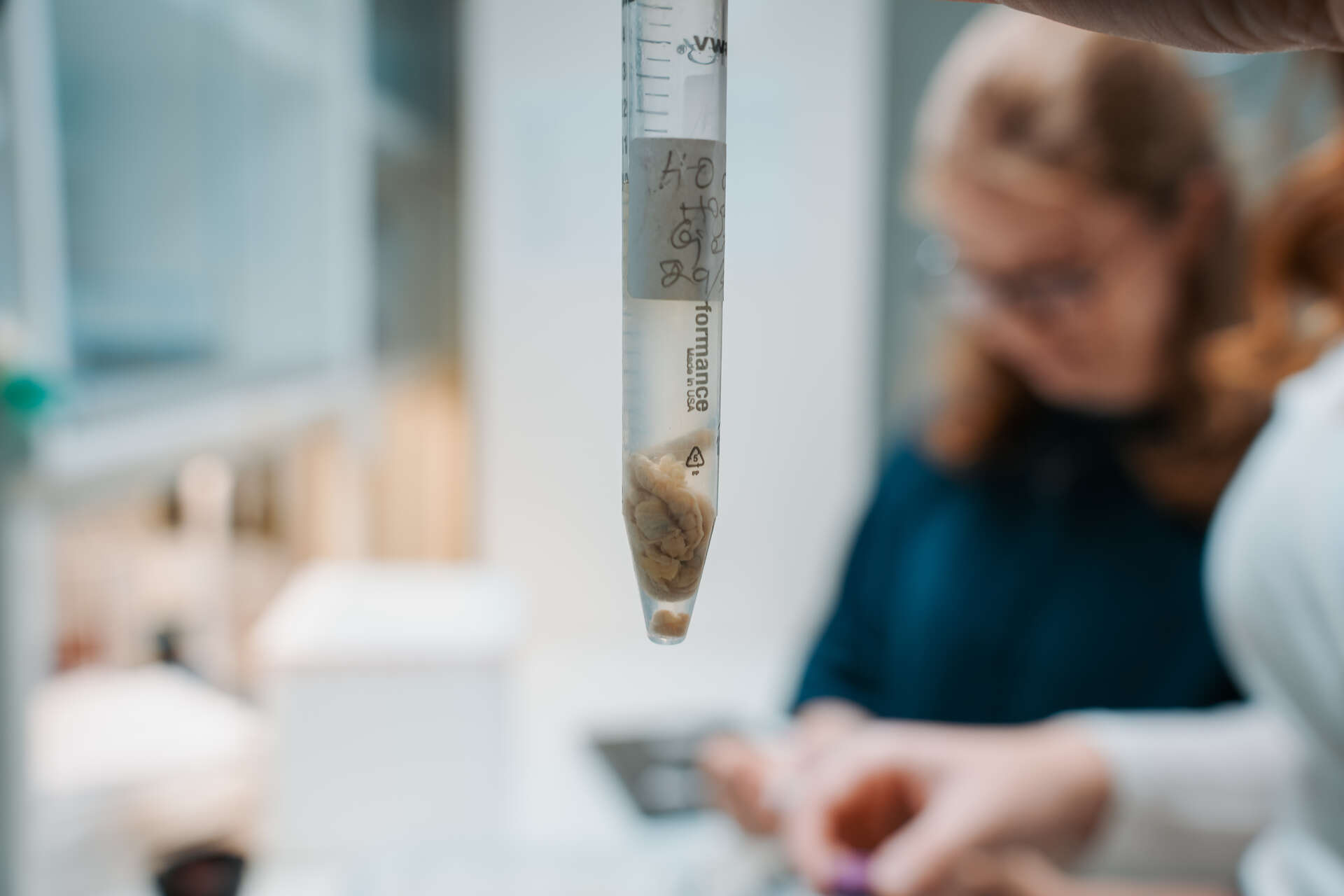 lab-arbeid