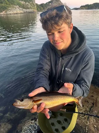 Bildet kan inneholde: fisk, smil, rekreasjon, fisker, båt.