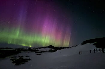 Bildet kan inneholde: vinter, aurora, geologisk fenomen, snø, natt.