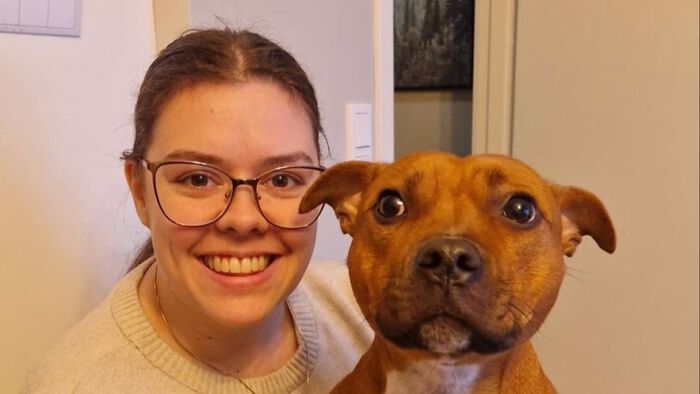 Bildet kan inneholde: hund, snute, kjøttetere, arbeidsdyr, canidae.
