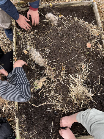 Bildet kan inneholde: jord, gårdsarbeider, jordbruk, plantasje, kompost.