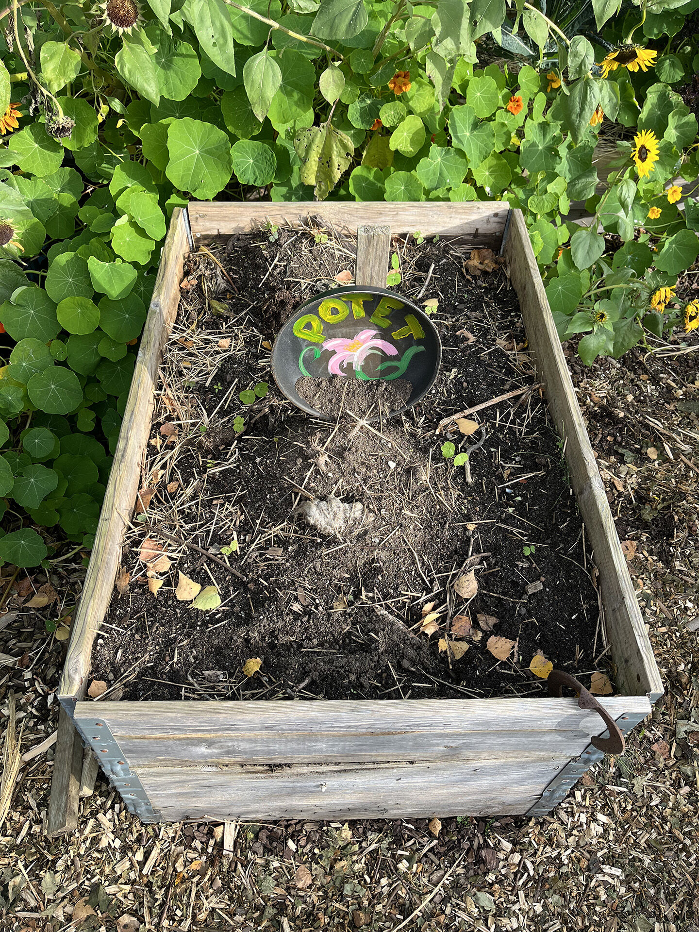 Bildet kan inneholde: jord, hage, hagearbeid, kompost, blomsterpotte.