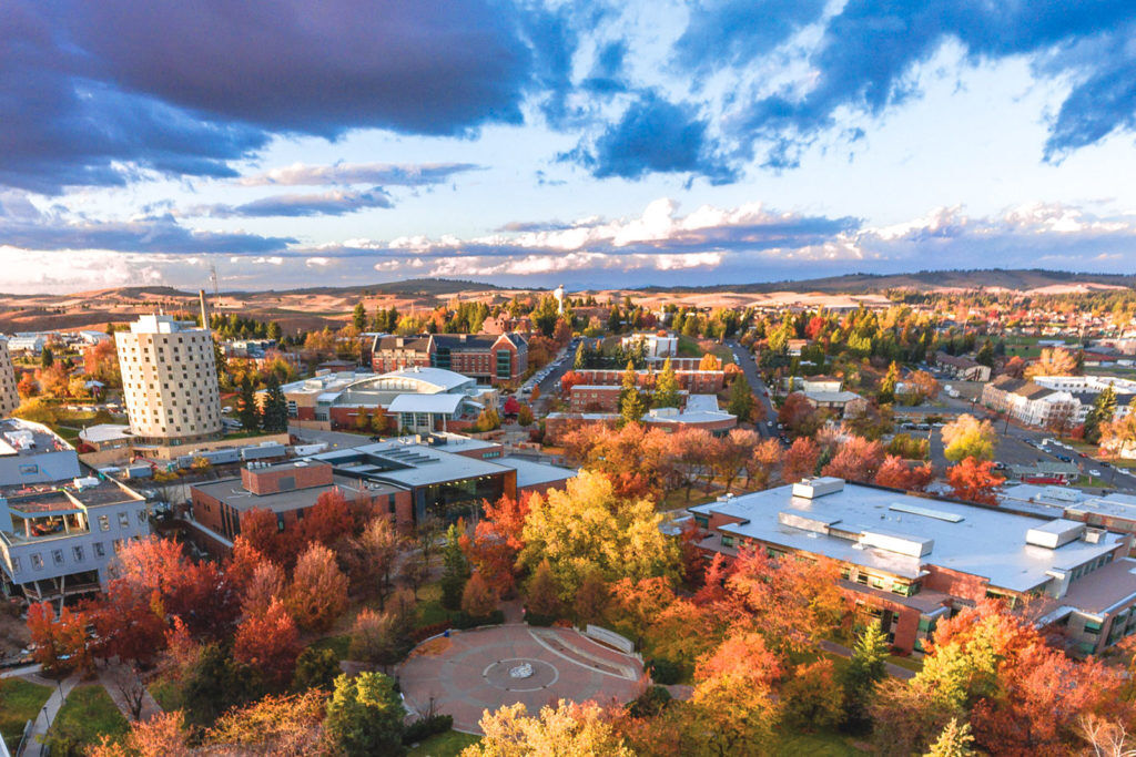 Bilde av universitetet og campus