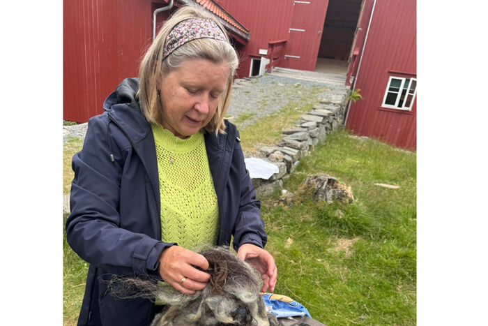 wenche-sviund-sorterer-ull